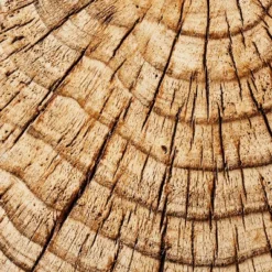 Indoor/Outdoor Faux Concrete Stump Accent Table Brown - Threshold™ Designed With Studio McGee 11 Indoor/Outdoor Faux Concrete Stump Accent Table Brown - Threshold™ Designed With Studio McGee -Interior Sale Store GUEST 03deabfd 2b62 4725 94b4 09a321ea8678