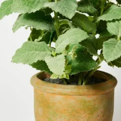 Artificial Potted Mint Leaf - Threshold™ Designed With Studio McGee -Interior Sale Store GUEST 19a08200 78b7 461e bcd9 c962450d4305