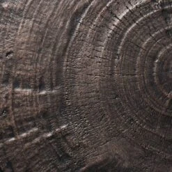 Grantsville Drum Accent Table Black - Threshold™ Designed With Studio McGee -Interior Sale Store GUEST 2a48e59f 9a1e 4d95 a641 6710dbd36ebe