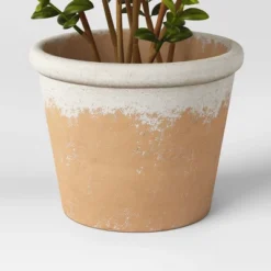 Artificial Medium Boxwood In Terracotta Pot Green - Threshold™ Designed With Studio McGee -Interior Sale Store GUEST 3859bebc ef74 4067 b0a8 d2730a37750b