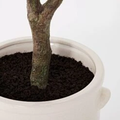 76.5"x 30" Artificial Olive Tree In Ceramic Pot - Threshold™ Designed With Studio McGee -Interior Sale Store GUEST 5f1c0b63 d965 4bfb 9559 6084dae15f92
