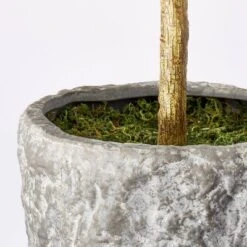 Banyan Tree Potted - Threshold™ Designed With Studio McGee 8 Banyan Tree Potted - Threshold™ Designed With Studio McGee -Interior Sale Store GUEST 7c945569 ea6c 4192 94d5 6530a4bfd2d3