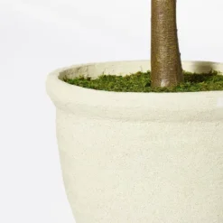 Ficus Tree - Threshold™ Designed With Studio McGee -Interior Sale Store GUEST b527c49c 40e7 4f4d 8026 e60817b7e327