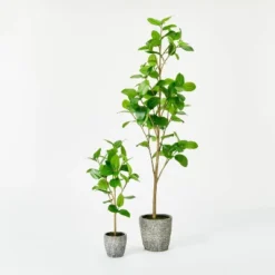 Banyan Leaf Potted Tree - Threshold™ Designed With Studio McGee -Interior Sale Store GUEST e0836b00 df5f 43ba bf4c e16aa35005ea